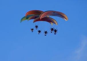 华体会app功能-英超球队结合疲劳评分系统动态分配替补上场时机,英超受伤率